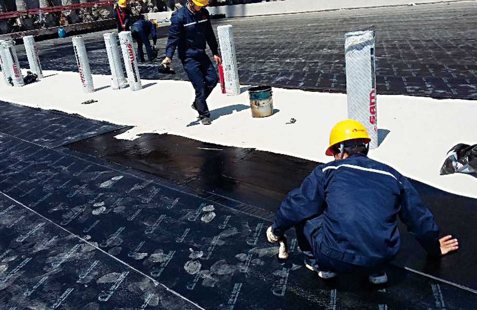 888�ڲ���-����Ϊ��,רҵ����