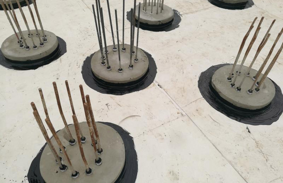 888�ڲ���-����Ϊ��,רҵ����