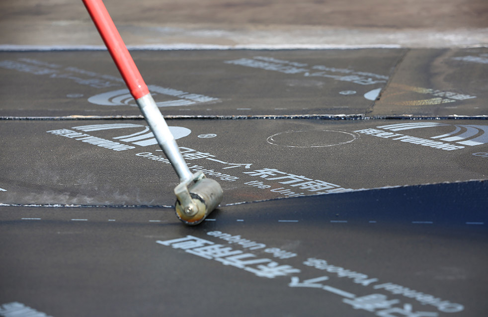 888�ڲ���-����Ϊ��,רҵ����