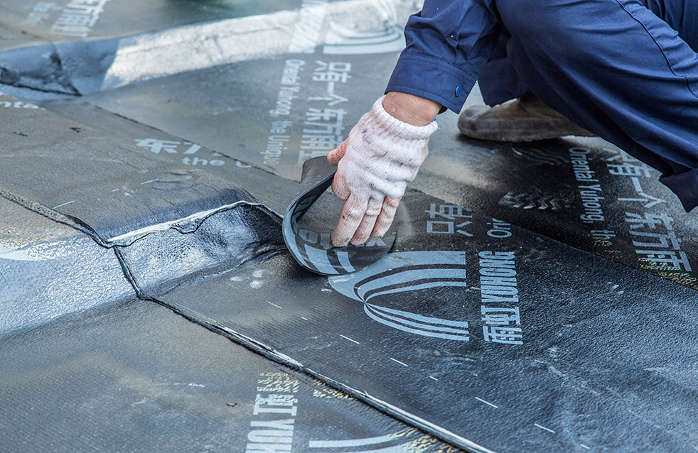 888�ڲ���-����Ϊ��,רҵ����