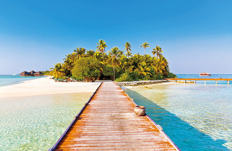 888�ڲ���-����Ϊ��,רҵЧ��