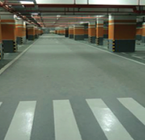 888�ڲ���-����Ϊ��,רҵ����