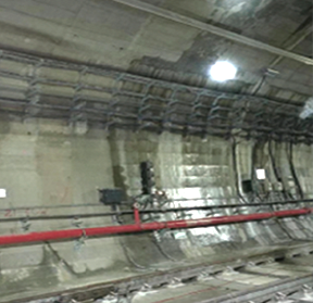 888�ڲ���-����Ϊ��,רҵ����