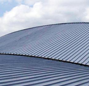 888�ڲ���-����Ϊ��,רҵ����