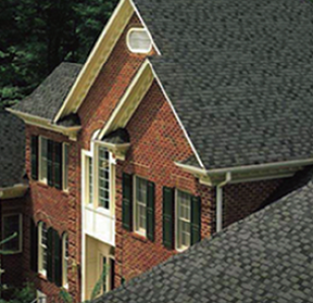 888�ڲ���-����Ϊ��,רҵ����