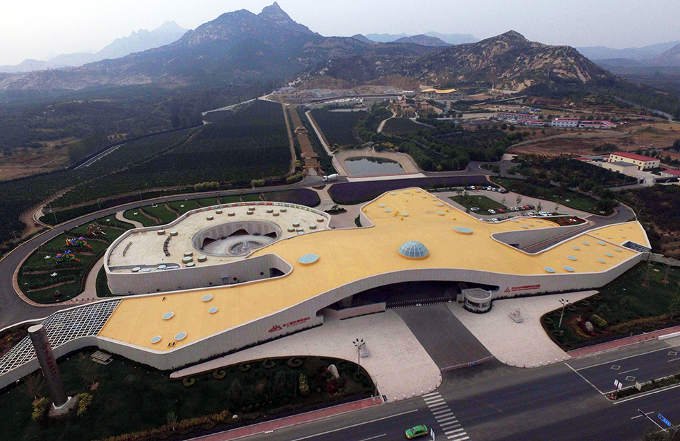 888�ڲ���-����Ϊ��,רҵ����