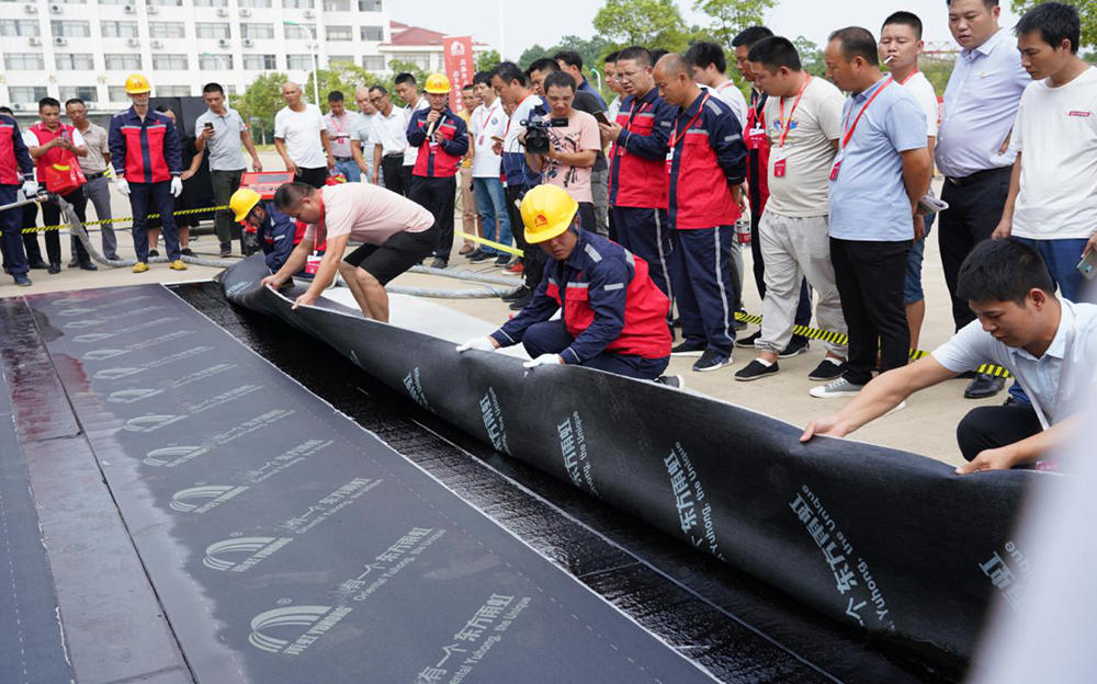 888�ڲ���-����Ϊ��,רҵЧ��