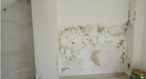 888�ڲ���-����Ϊ��,רҵЧ��