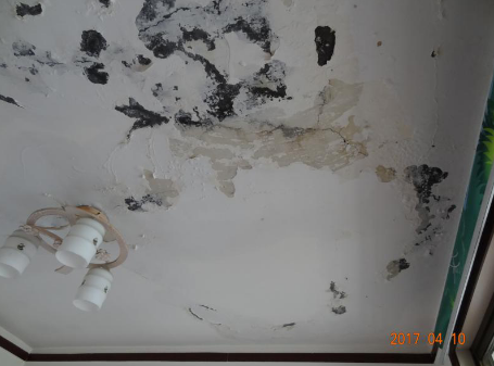 888�ڲ���-����Ϊ��,רҵЧ��