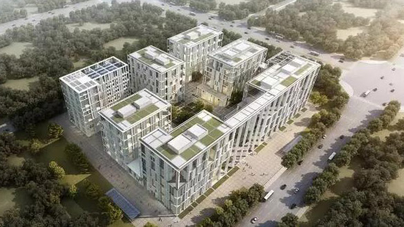 888�ڲ���-����Ϊ��,רҵЧ��