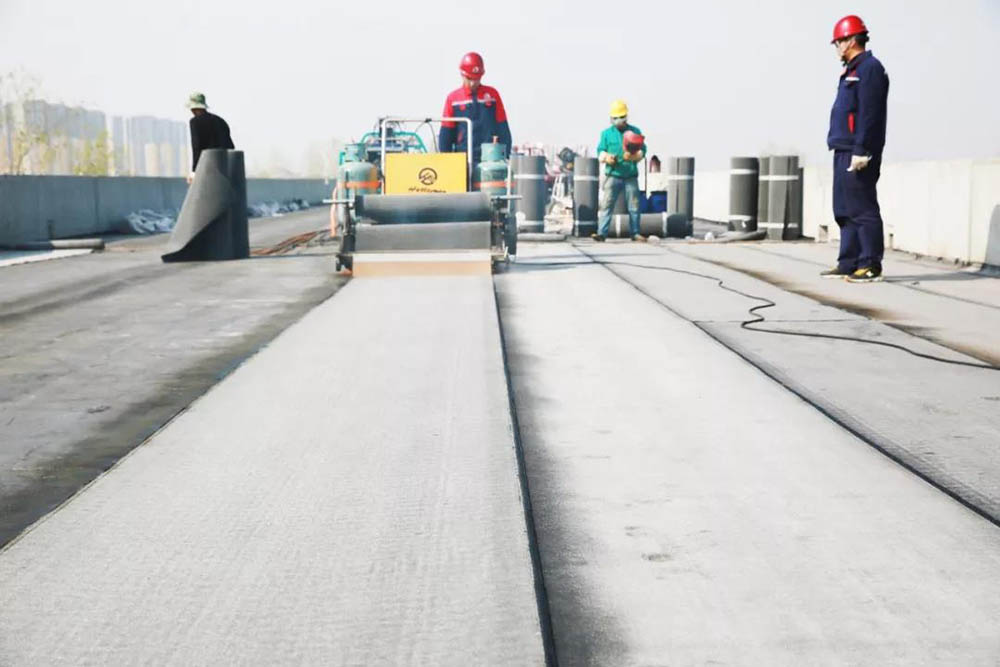 888�ڲ���-����Ϊ��,רҵЧ��