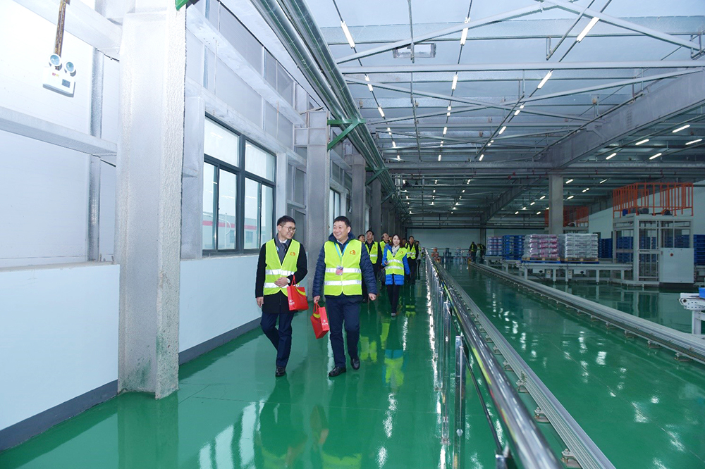 888�ڲ���-����Ϊ��,רҵЧ��