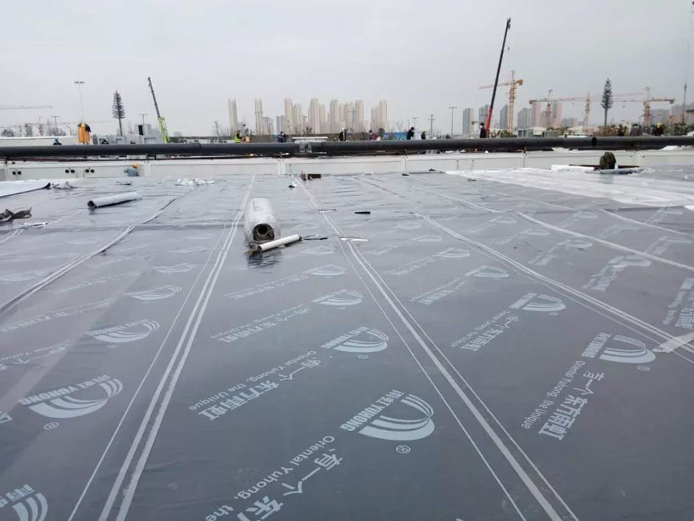 888�ڲ���-����Ϊ��,רҵЧ��