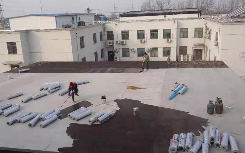 888�ڲ���-����Ϊ��,רҵЧ��