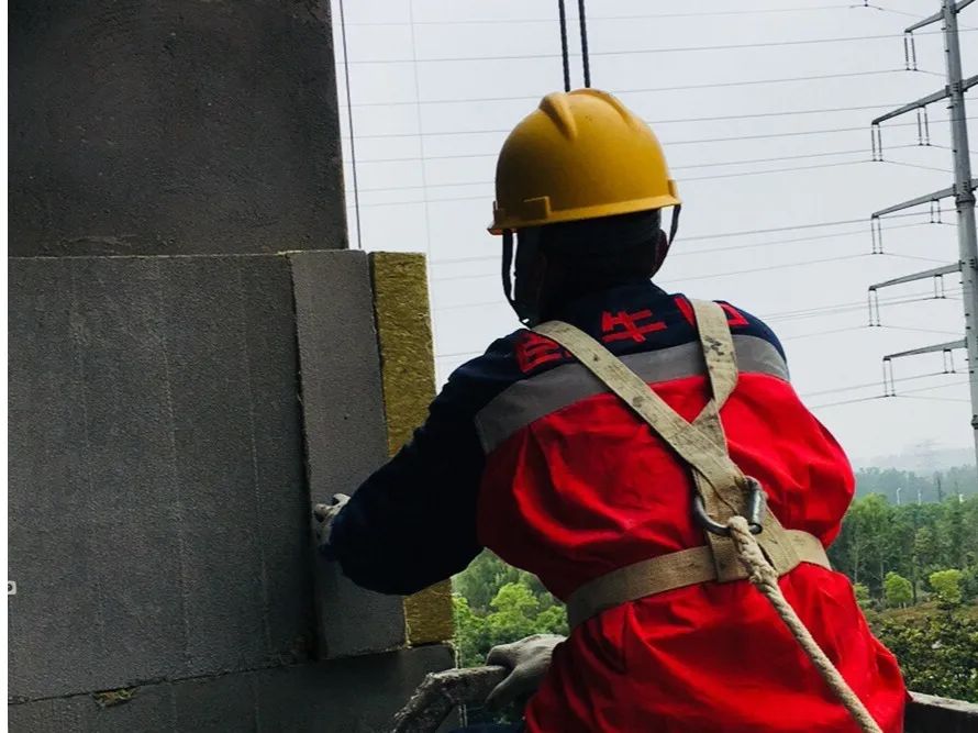 888�ڲ���-����Ϊ��,רҵ����