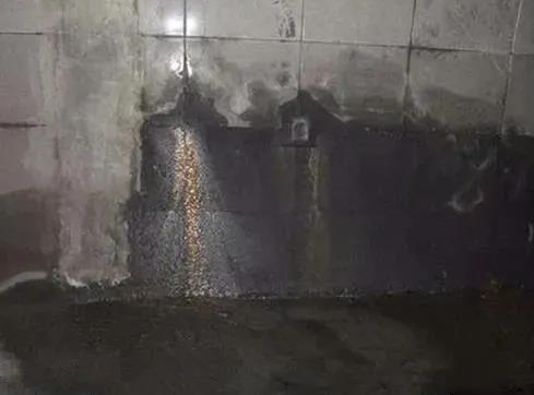 888�ڲ���-����Ϊ��,רҵЧ��