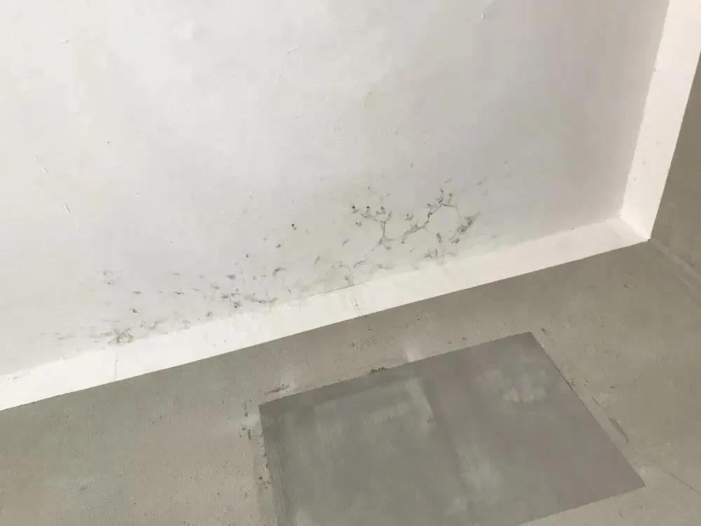 888�ڲ���-����Ϊ��,רҵЧ��