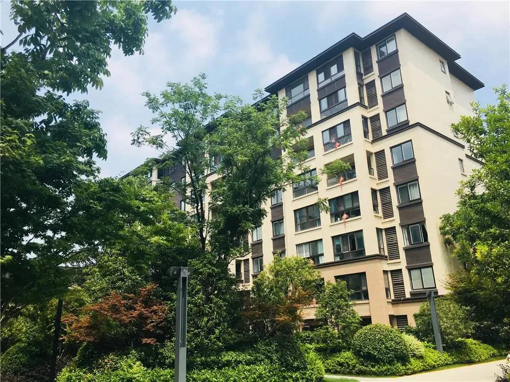 888�ڲ���-����Ϊ��,רҵЧ��