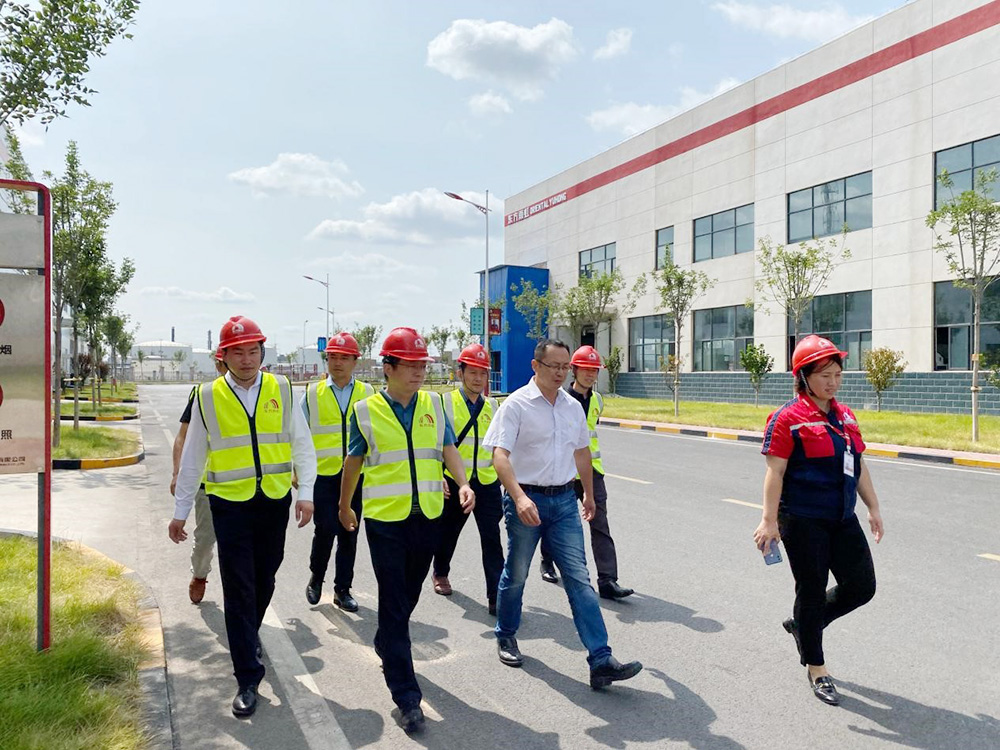 888�ڲ���-����Ϊ��,רҵЧ��