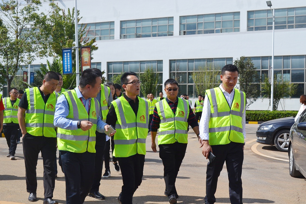 888�ڲ���-����Ϊ��,רҵЧ��