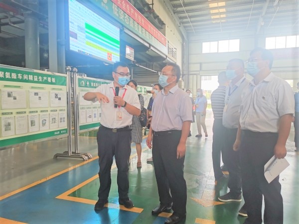 888�ڲ���-����Ϊ��,רҵЧ��