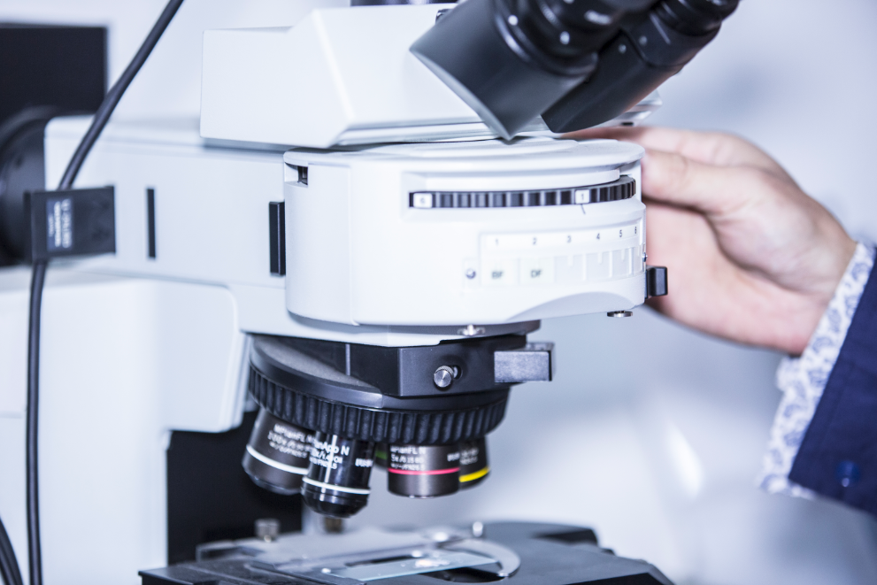 888�ڲ���-����Ϊ��,רҵЧ��