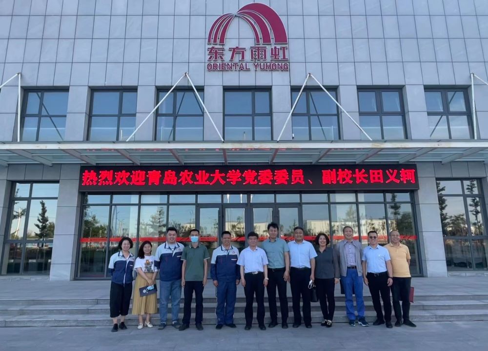 888�ڲ���-����Ϊ��,רҵЧ��