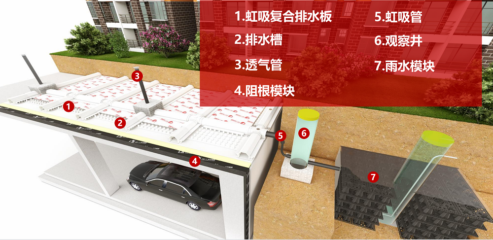 888�ڲ���-����Ϊ��,רҵЧ��