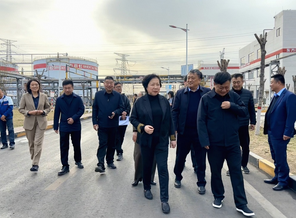 888�ڲ���-����Ϊ��,רҵЧ��